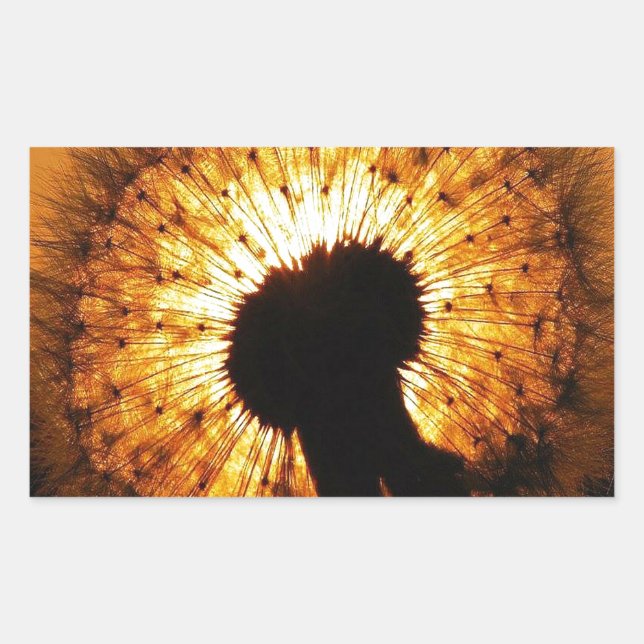 Dandelion at Sunset Rectangular Sticker (Front)