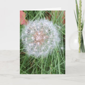 Dandelion Birthday card