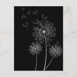 Dandelion black and white modern floral art postcard