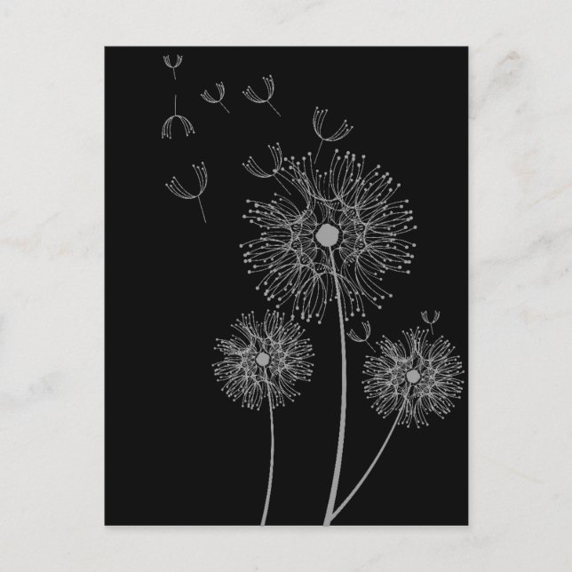 Dandelion black and white modern floral art postcard (Front)