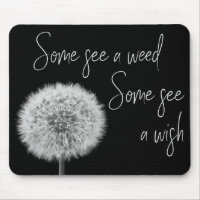 Dandelion black white closeup photo inspirational