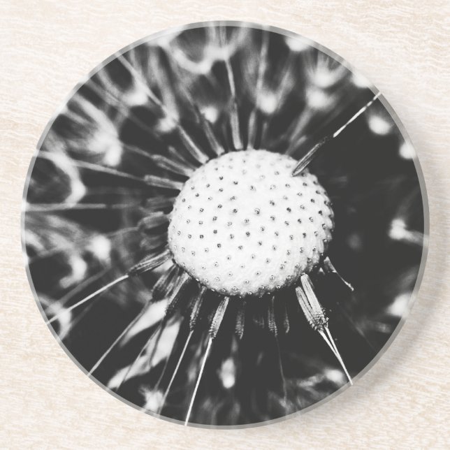 dandelion blacq coaster (Front)