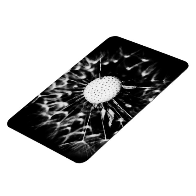 dandelion blacq magnet (Left Side)