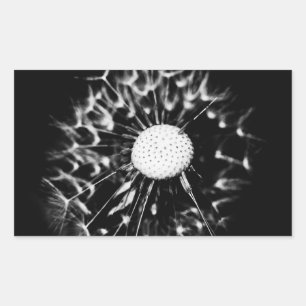 dandelion blacq rectangular sticker