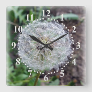 dandelion bloom square wall clock