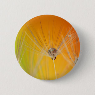 Dandelion Blossoms Flowers Destiny Peace Love Art 6 Cm Round Badge