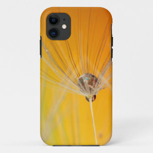 Dandelion Blossoms Flowers Destiny Peace Love Art iPhone 11 Case