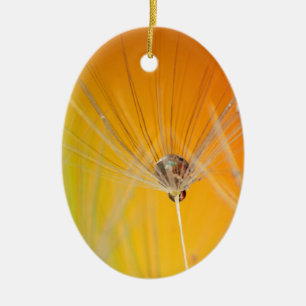 Dandelion Blossoms Flowers Destiny Peace Love Art Ceramic Ornament