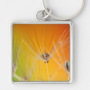 Dandelion Blossoms Flowers Destiny Peace Love Art Key Ring
