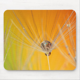 Dandelion Blossoms Flowers Destiny Peace Love Art Mouse Pad
