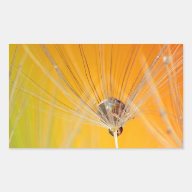 Dandelion Blossoms Flowers Destiny Peace Love Art Rectangular Sticker (Front)