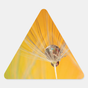 Dandelion Blossoms Flowers Destiny Peace Love Art Triangle Sticker