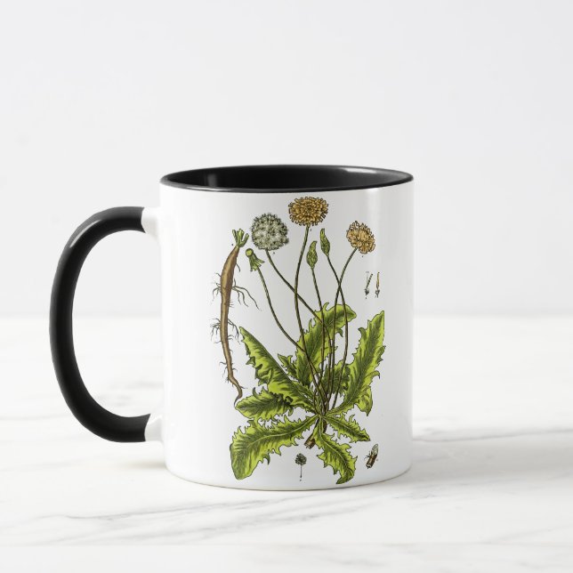 Dandelion Botanical Illustration Mug (Left)