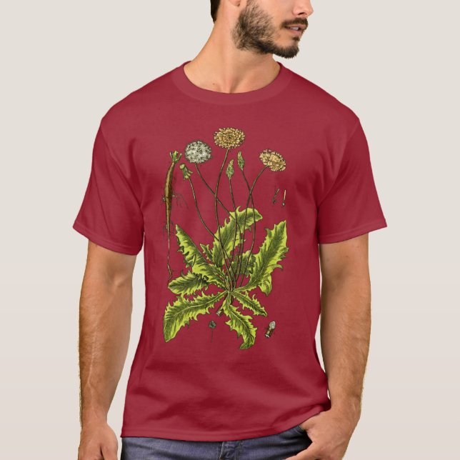 Dandelion Botanical Illustration T-Shirt (Front)