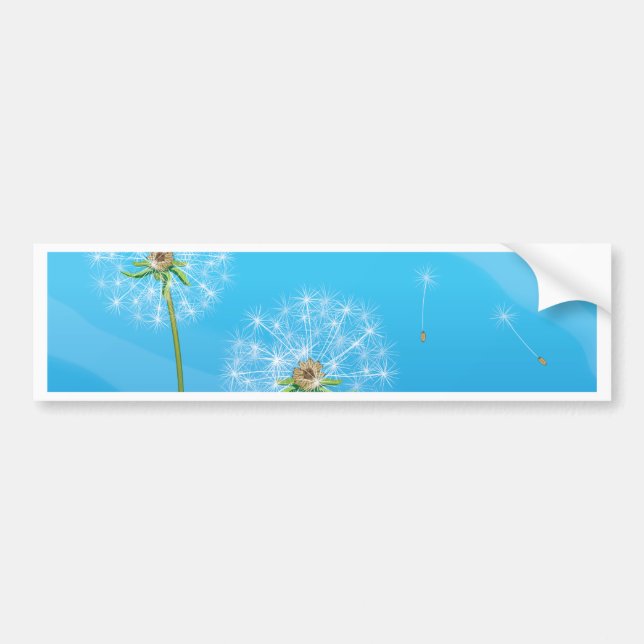 Dandelion Bumper Sticker (Front)
