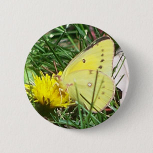 Dandelion Butterfly 6 Cm Round Badge