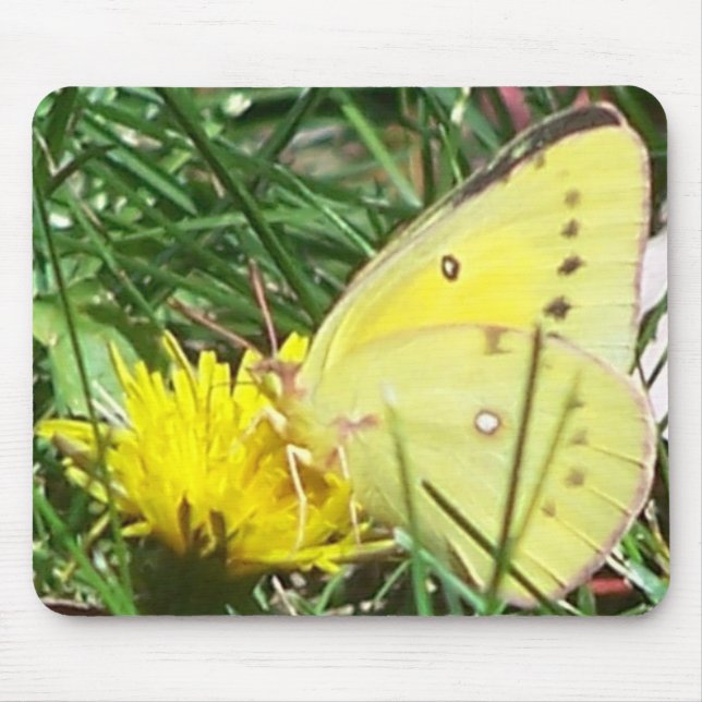 Dandelion Butterfly Mouse Pad (Front)