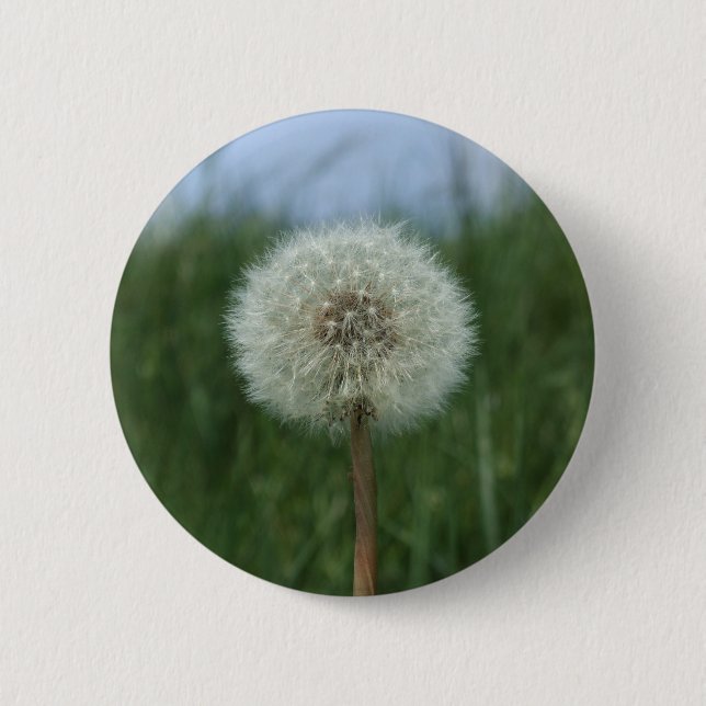 Dandelion Button (Front)
