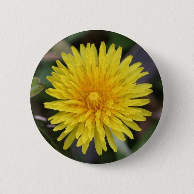 Dandelion Button (Front)