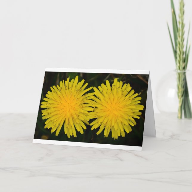 Dandelion, card (Front)