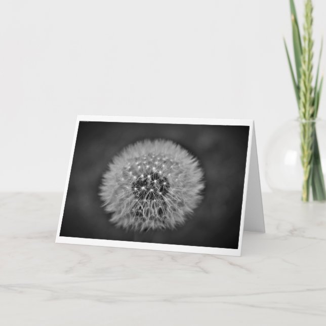 Dandelion, card (Front)