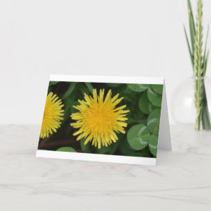 Dandelion, card