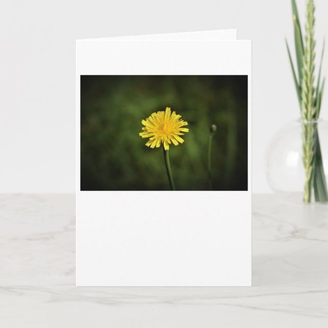 Dandelion, card (Front)