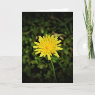 Dandelion, card