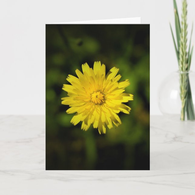 Dandelion, card (Front)