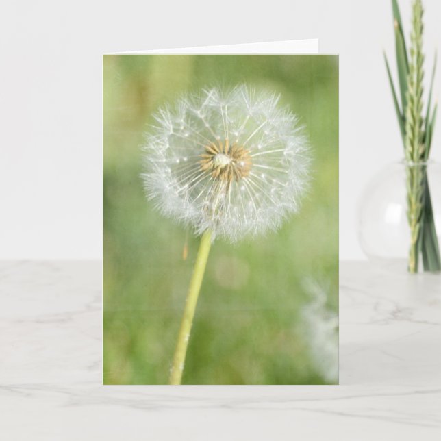 Dandelion Card (Front)