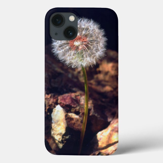 Dandelion Case-Mate iPhone Case (Back)