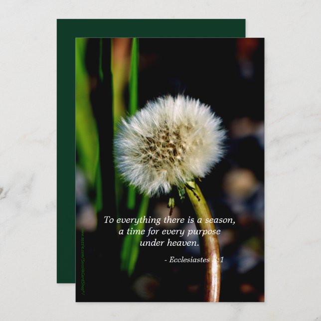 Dandelion Celebration of Life Invitation Scripture (Front/Back)