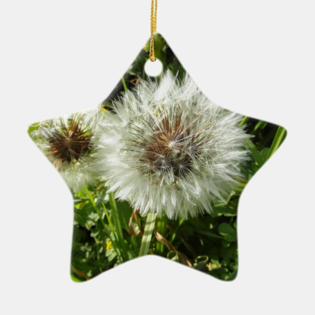 Dandelion Ceramic Ornament (Front)