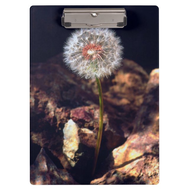 Dandelion Clipboard (Front)
