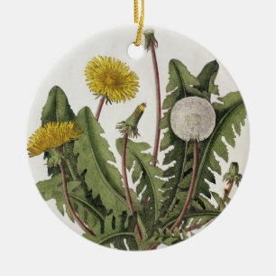 Dandelion (colour engraving) ceramic tree decoration