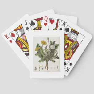 Dandelion (colour engraving) playing cards