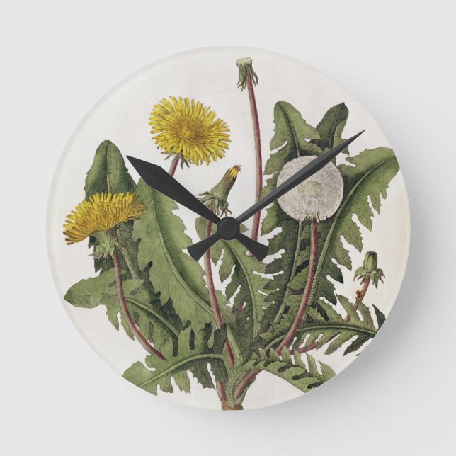 Dandelion (colour engraving) round clock (Front)