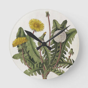 Dandelion (colour engraving) round clock