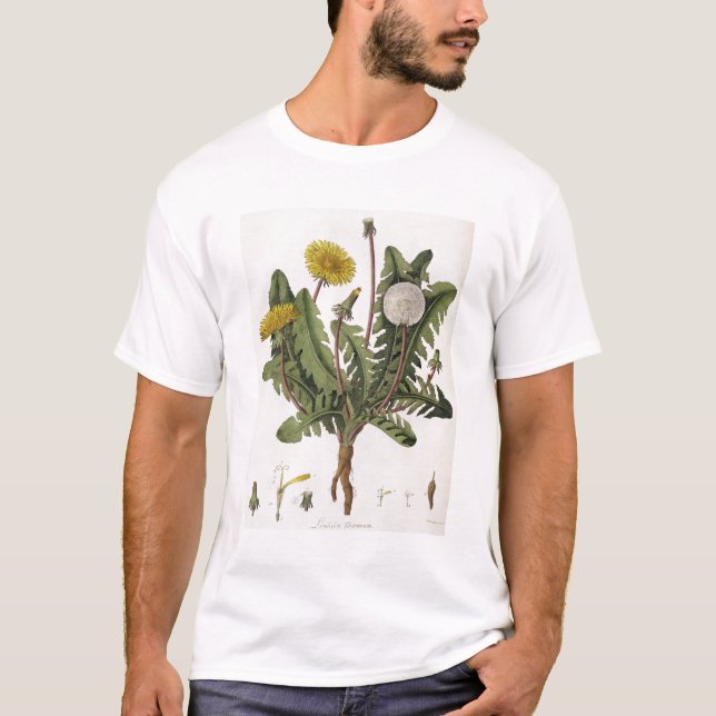 Dandelion (colour engraving) T-Shirt (Front)