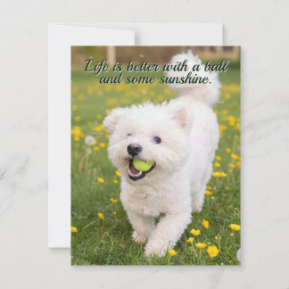 Dandelion Days Card