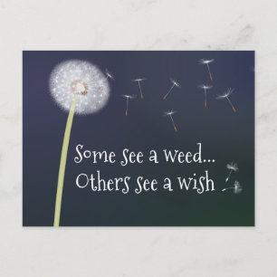 Dandelion Design Postcard