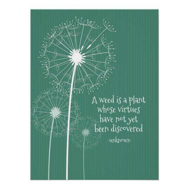 Dandelion Design Poster (Front)