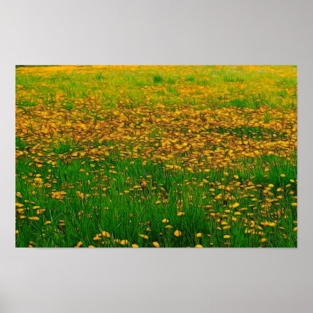 Dandelion Field Poster (Front)