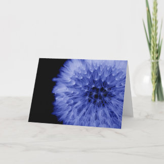 Dandelion fine art card