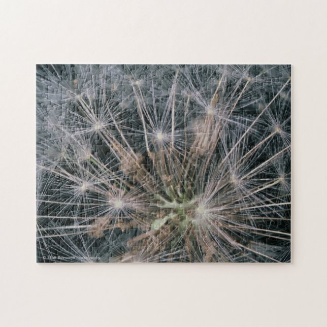 Dandelion Fireworks Jigsaw Puzzle (Horizontal)