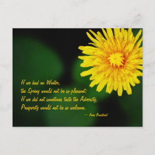 Dandelion Flower Anne Bradstreet Quote Postcard
