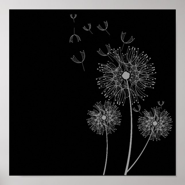 Dandelion flower black and white art poster (Front)