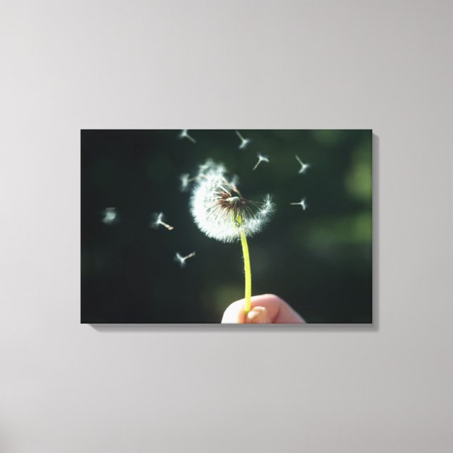 Dandelion flower canvas print (Front)