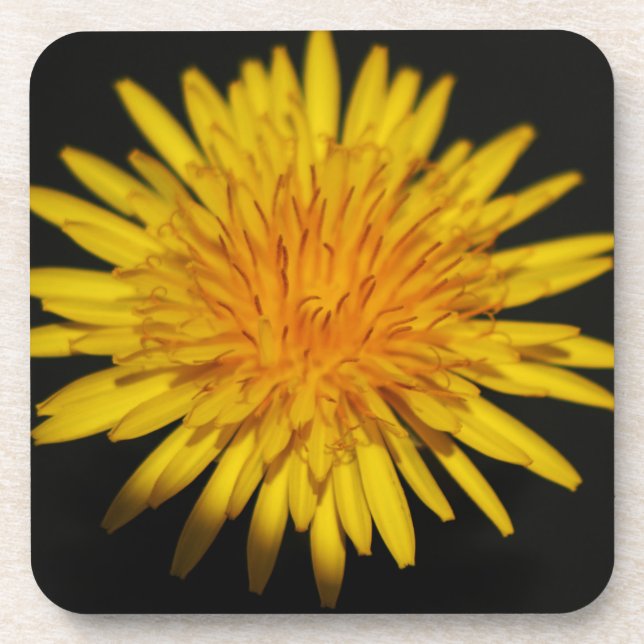 Dandelion Flower coastercnm Coaster (Front)