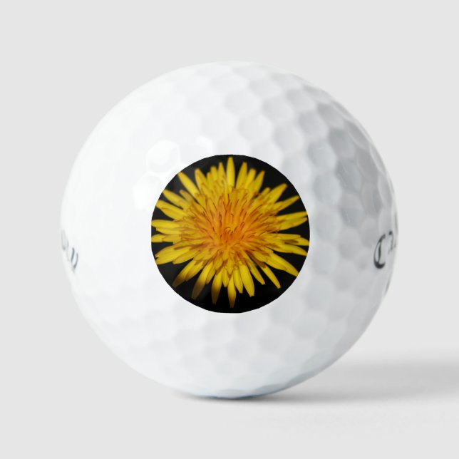 Dandelion Flower css gbm Golf Balls (Front)